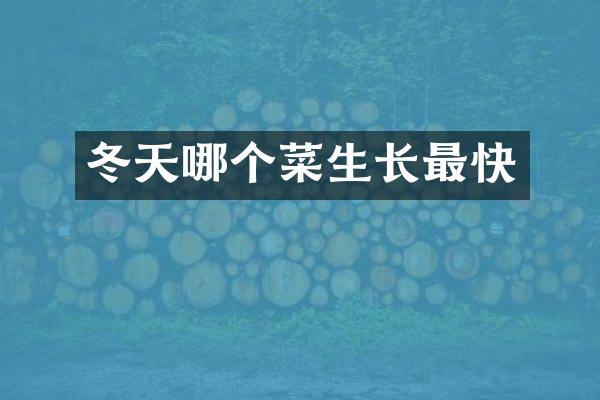 冬天哪个菜生长最快