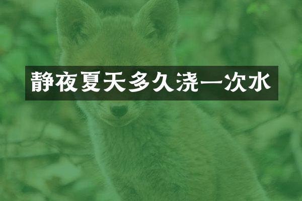 静夜夏天多久浇一次水