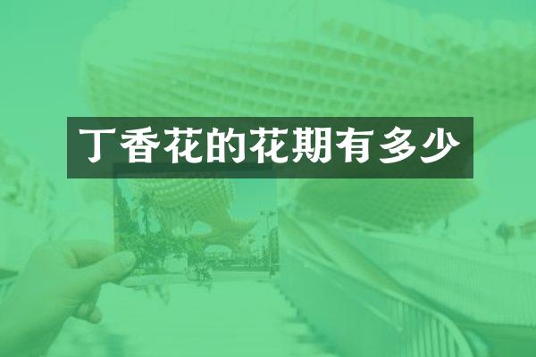 丁香花的花期有多少