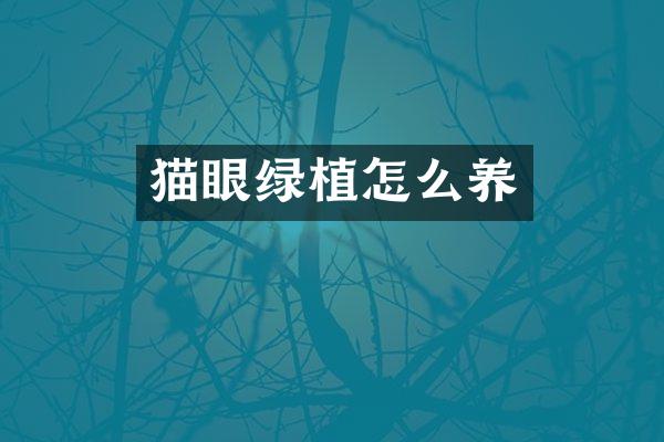 猫眼绿植怎么养