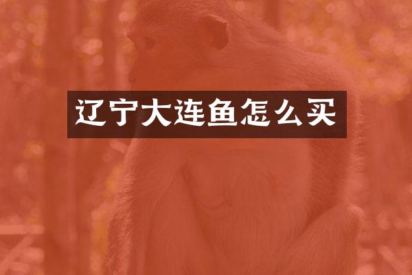 辽宁大连鱼怎么买