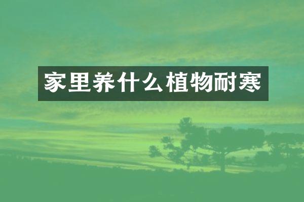 家里养什么植物耐寒