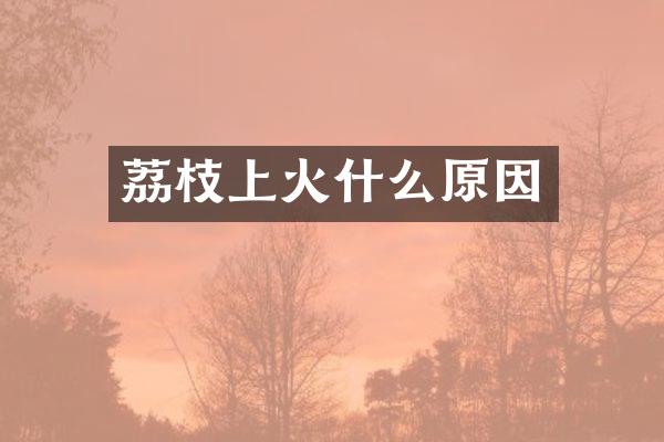 荔枝上火什么原因