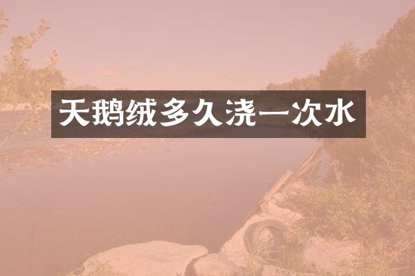 天鹅绒多久浇一次水