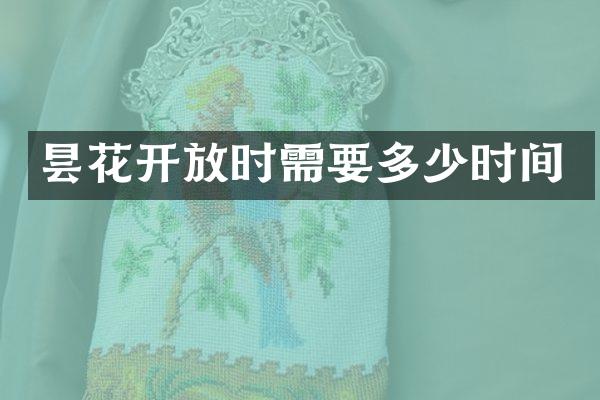 昙花开放时需要多少时间