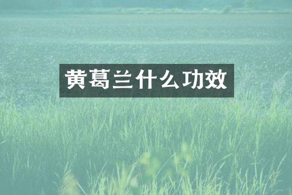 黄葛兰什么功效