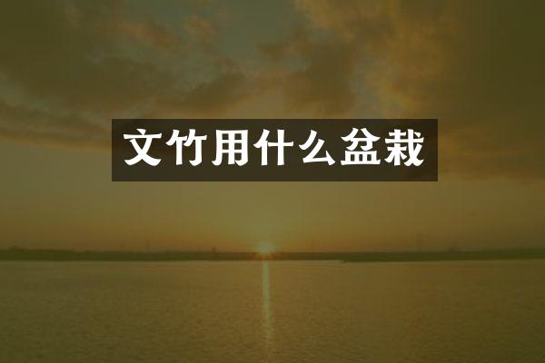 文竹用什么盆栽