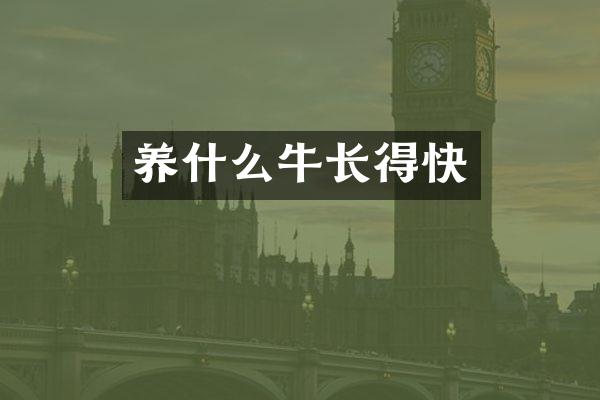 养什么牛长得快