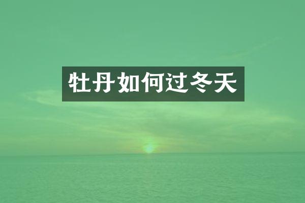 牡丹如何过冬天
