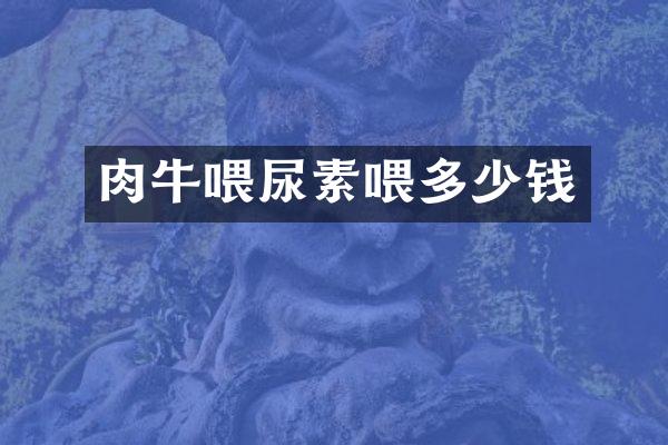 肉牛喂尿素喂多少钱