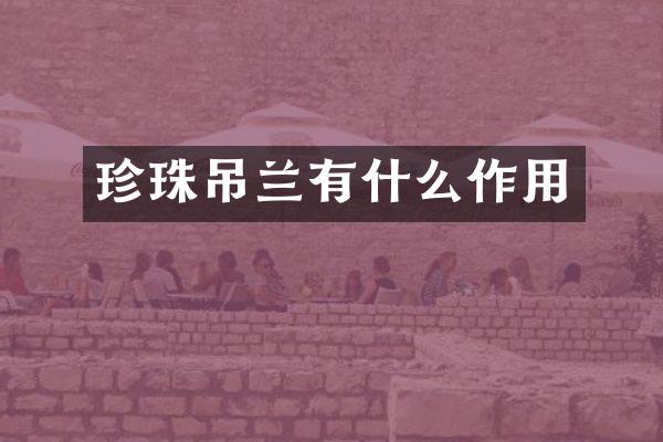 珍珠吊兰有什么作用
