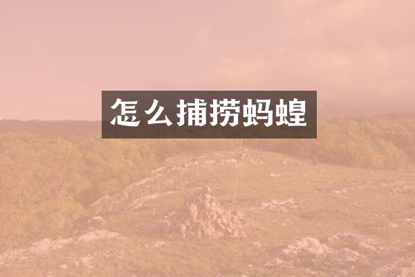 怎么捕捞蚂蝗