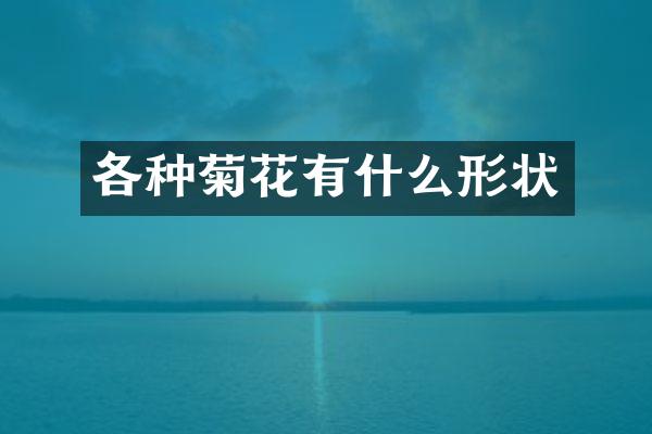 各种菊花有什么形状