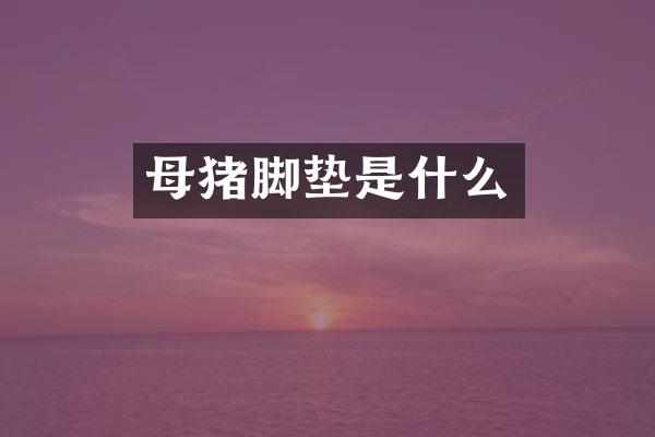 母猪脚垫是什么