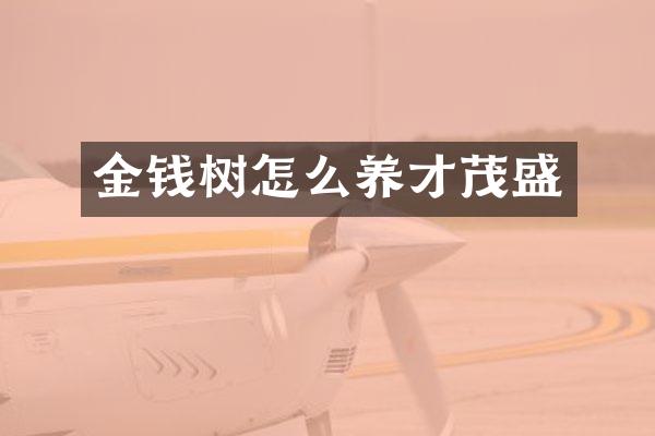 金钱树怎么养才茂盛