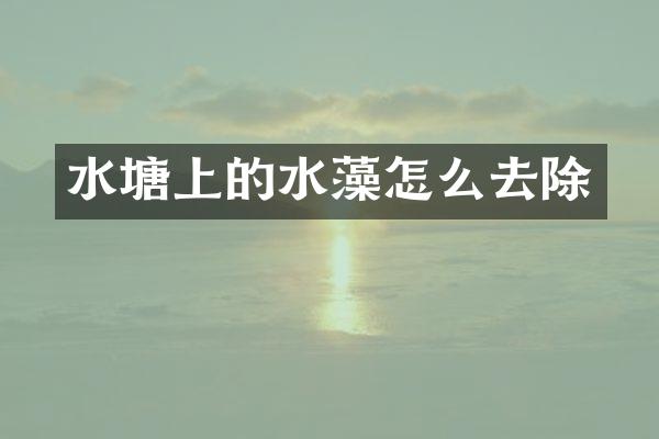 水塘上的水藻怎么去除