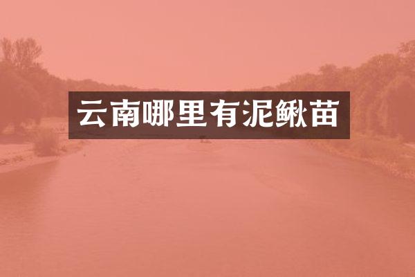 云南哪里有泥鳅苗