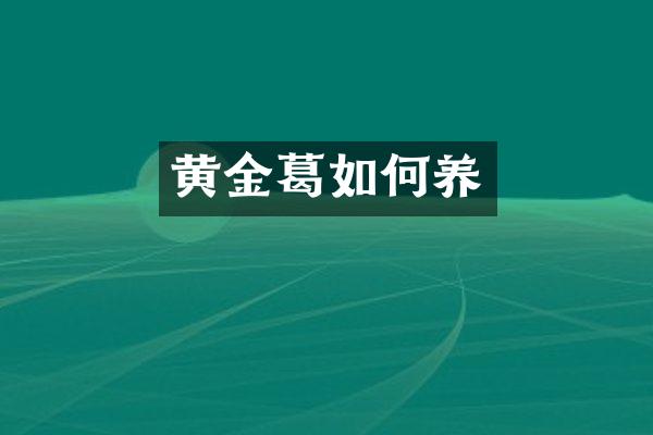 黄金葛如何养