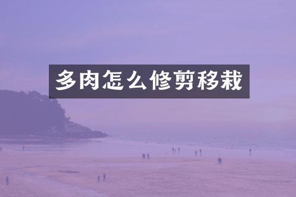 多肉怎么修剪移栽
