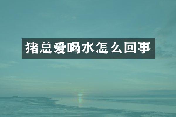 猪总爱喝水怎么回事