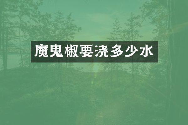 魔鬼椒要浇多少水