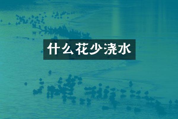 什么花少浇水