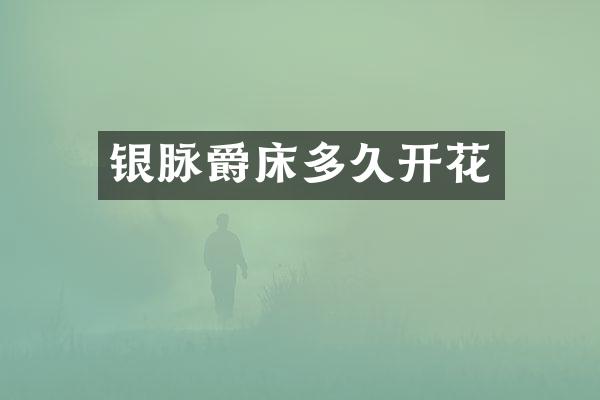 银脉爵床多久开花