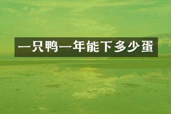 一只鸭一年能下多少蛋
