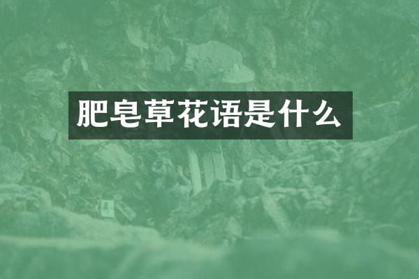 肥皂草花语是什么