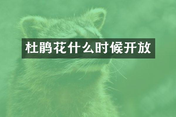 杜鹃花什么时候开放