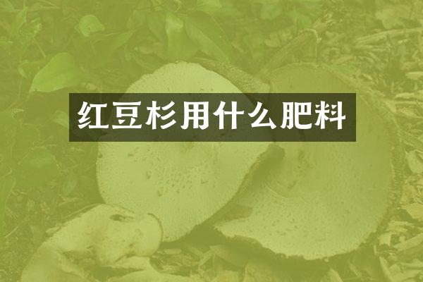 红豆杉用什么肥料