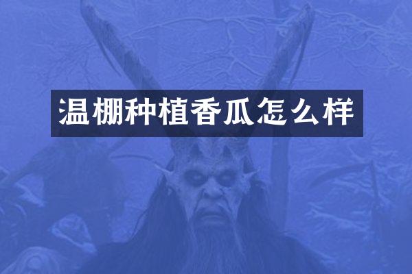 温棚种植香瓜怎么样
