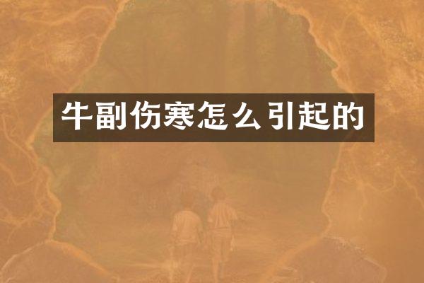 牛副伤寒怎么引起的