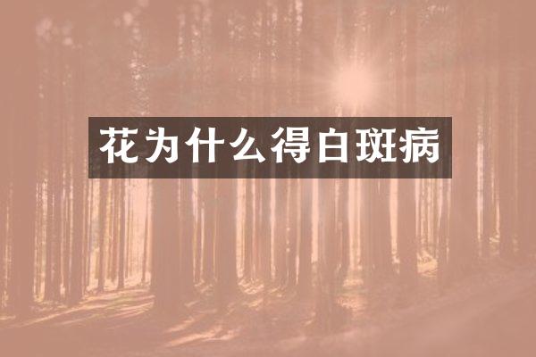 花为什么得白斑病