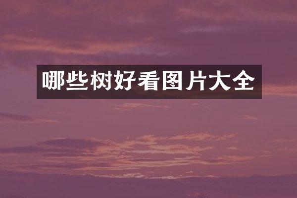 哪些树好看图片大全