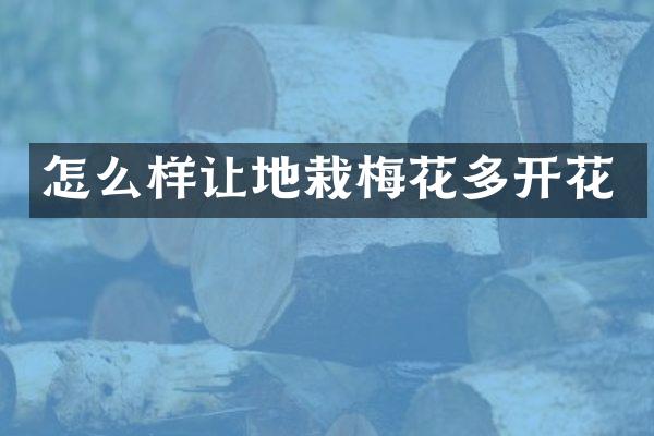 怎么样让地栽梅花多开花