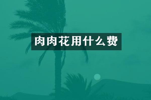 肉肉花用什么费
