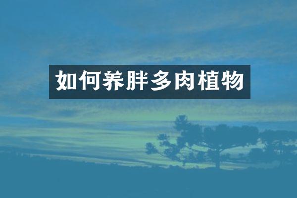 如何养胖多肉植物
