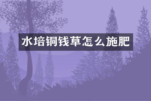 水培铜钱草怎么施肥