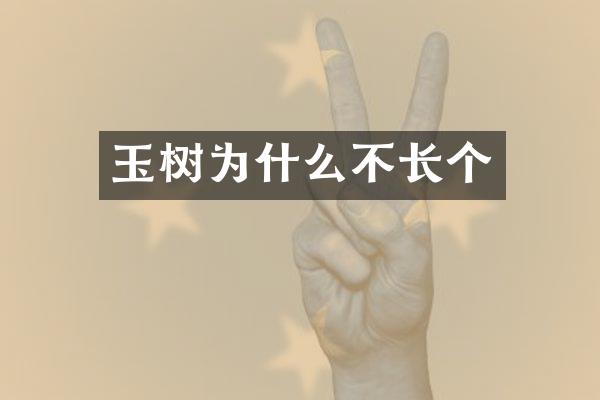 玉树为什么不长个