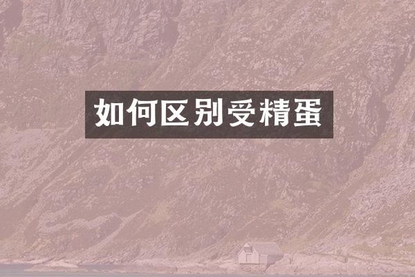 如何区别受精蛋