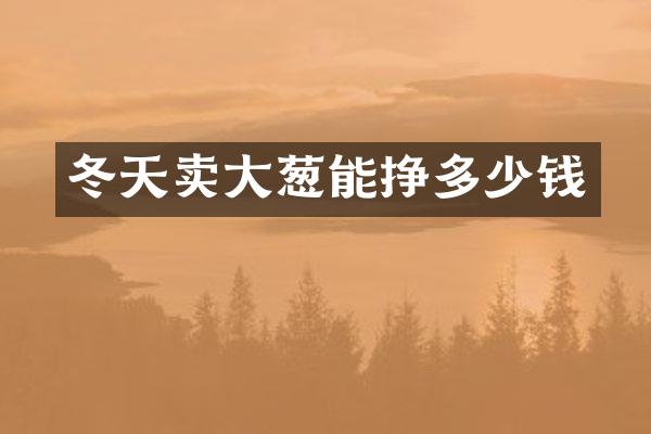 冬天卖大葱能挣多少钱
