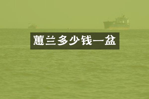 蕙兰多少钱一盆