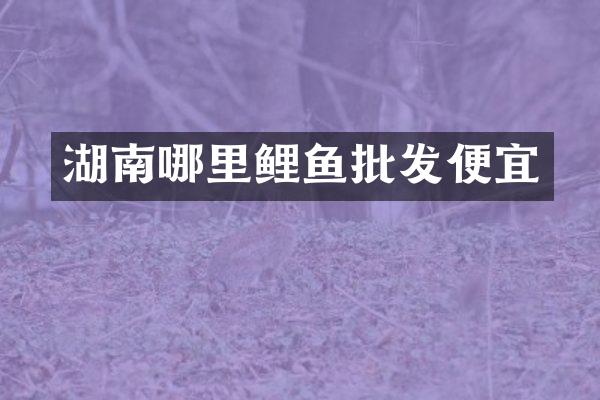 湖南哪里鲤鱼批发便宜