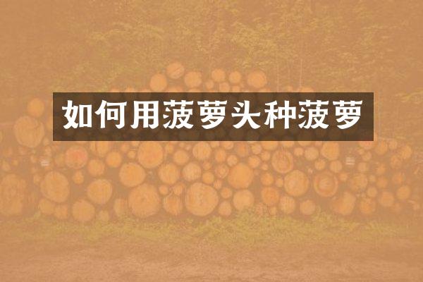 如何用菠萝头种菠萝