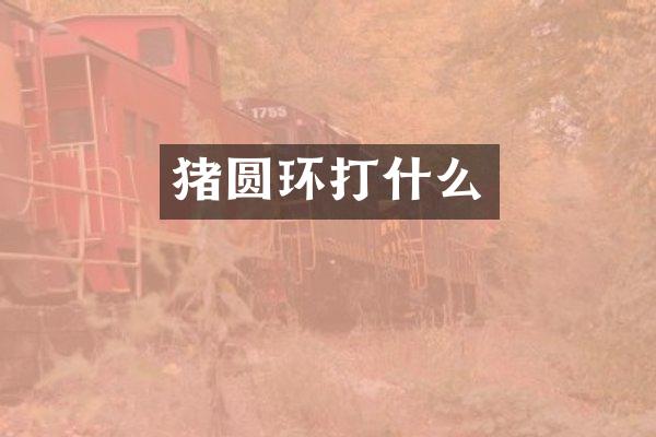 猪圆环打什么