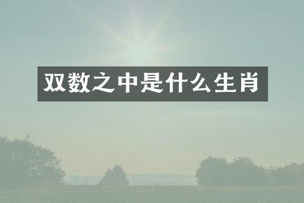 双数之中是什么生肖