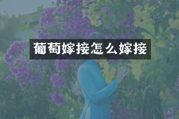葡萄嫁接怎么嫁接