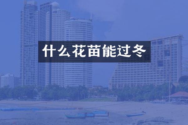 什么花苗能过冬