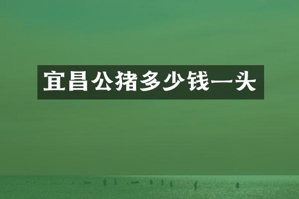 宜昌公猪多少钱一头